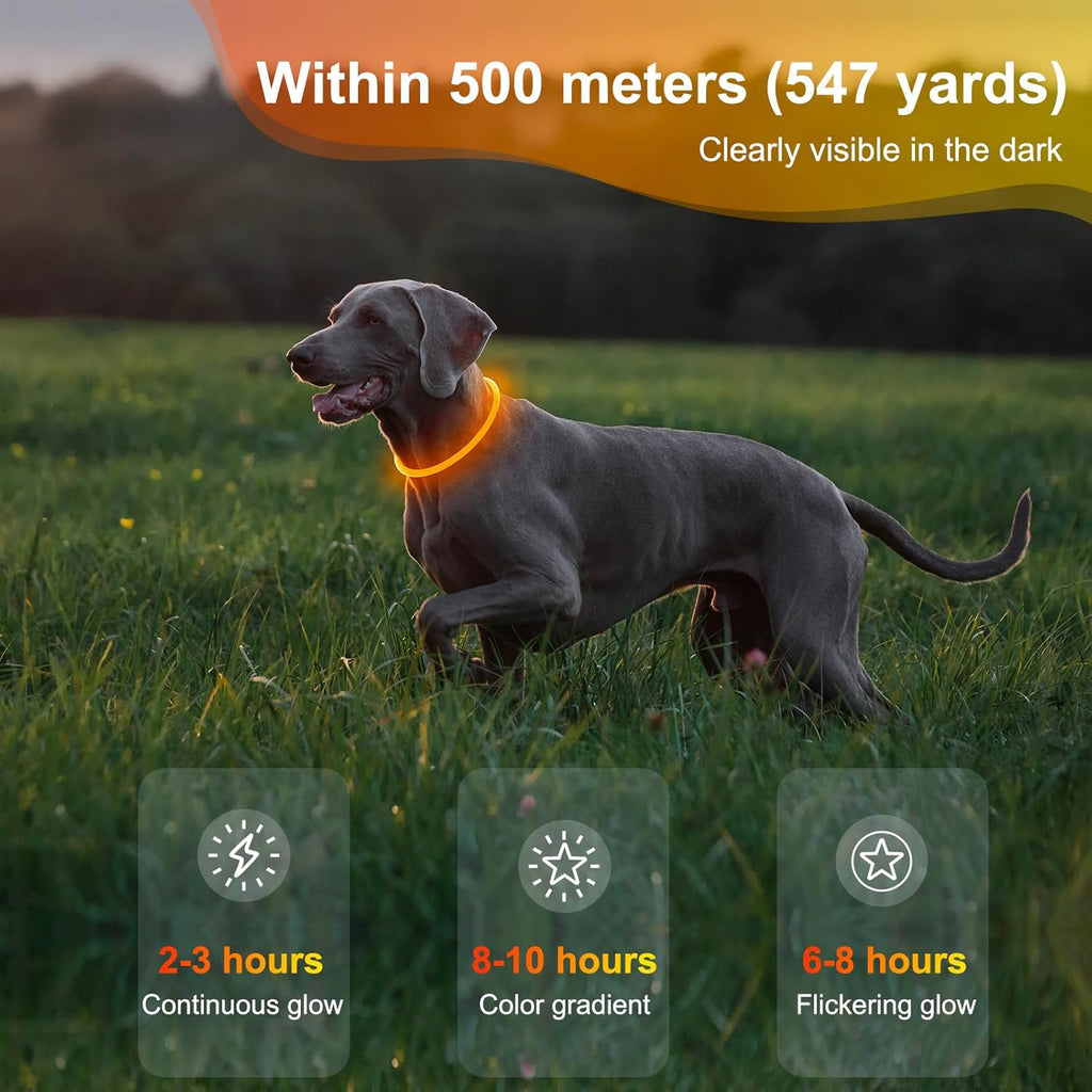 Lighted Dog Collar - Waterproof Puppy Collar Light Rechargeable, High Visibility Glowing Dog Lights for Night Walking (Orange)