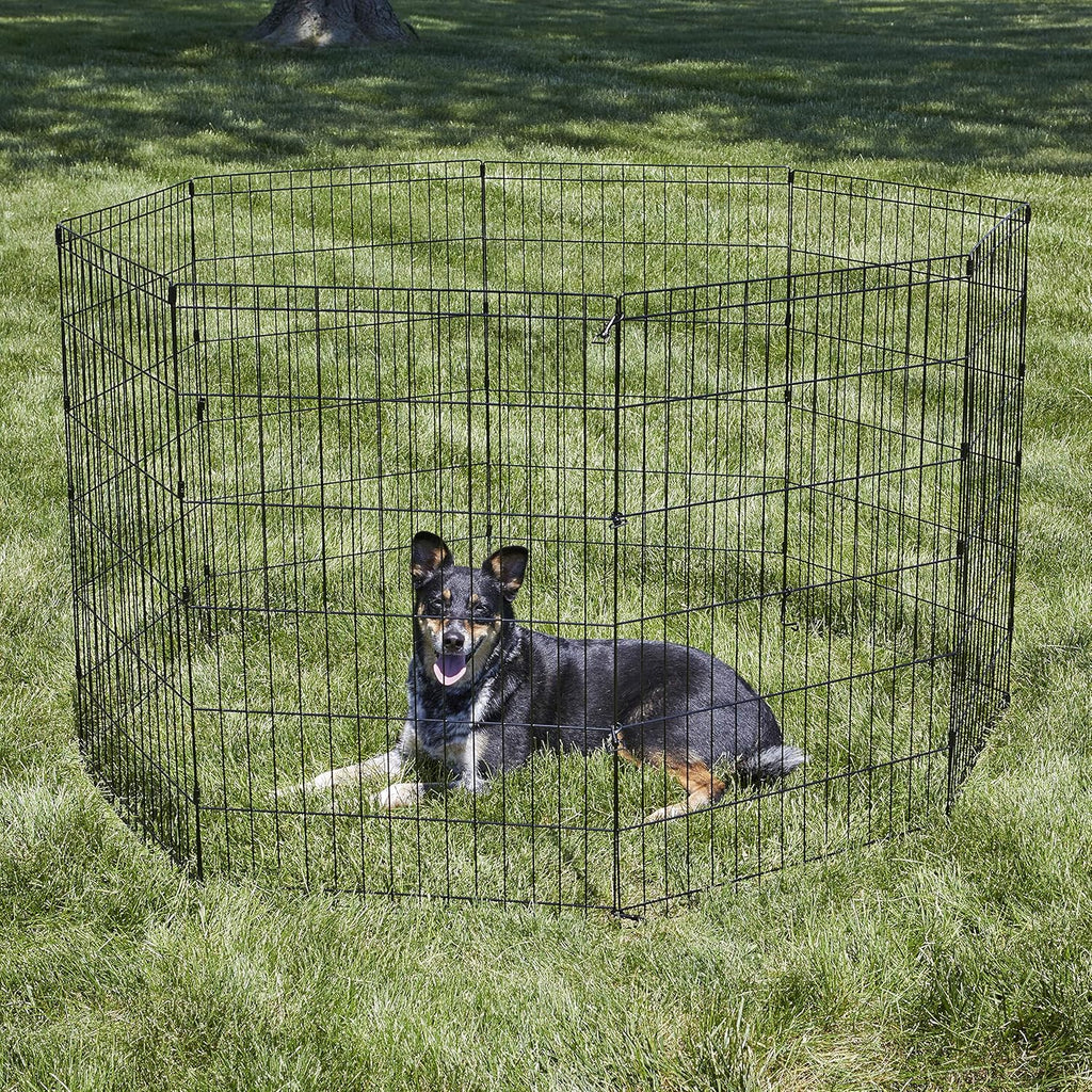 by Midwest 36-Inch Exercise Pen, No Door, 16 Sq Ft Play Area | for Indoor and Outdoor Use, No Door Design for Maximum Security, Easy to Set Up, Foldable Playpen